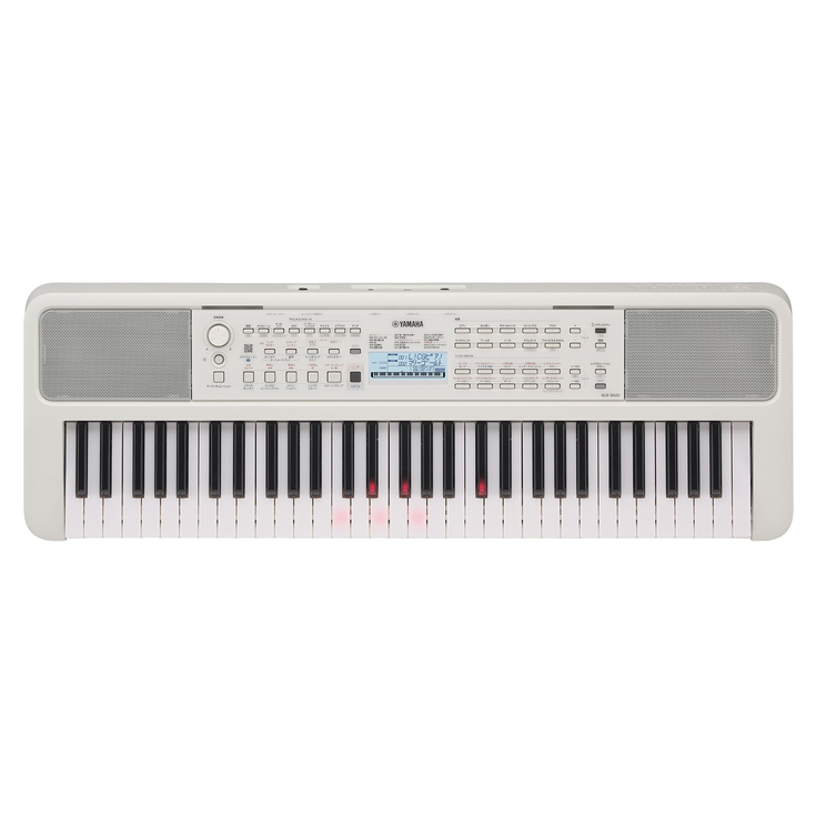 EZ-310