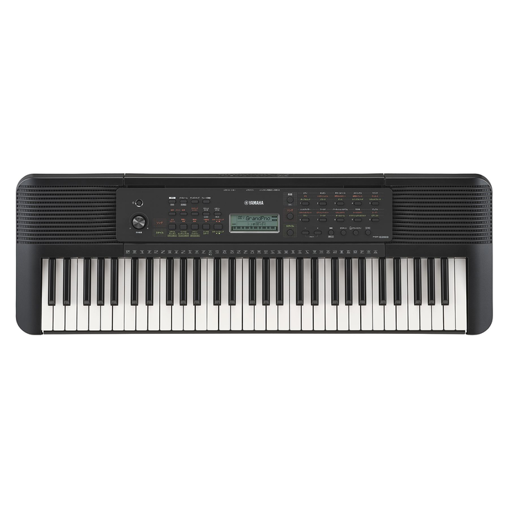 PSR-E283