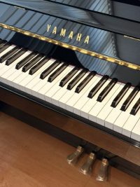 YM5SD 商品写真1